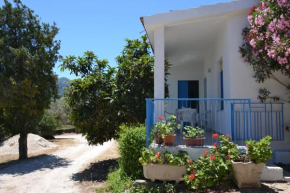 Casa indipendente immersa nel verde con vista mare